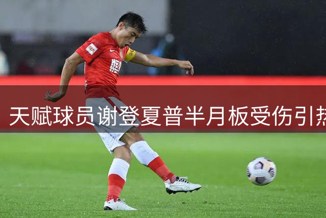 天赋球员谢登夏普半月板受伤引热议